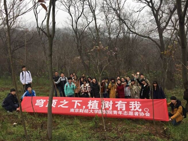 电竞投注平台